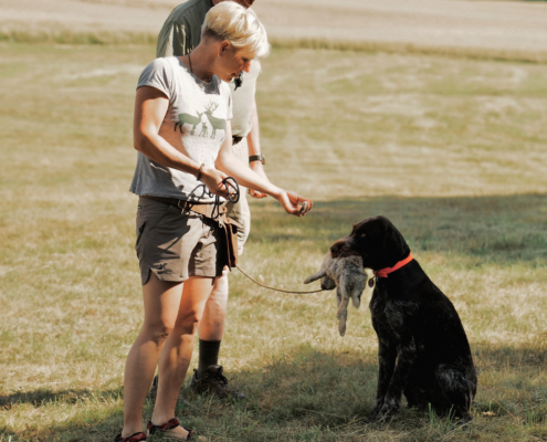 22E65E84-59CB-4BB5-BF1B-B37B6AA324B6